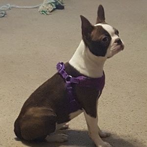 Meet your Posher, Angela